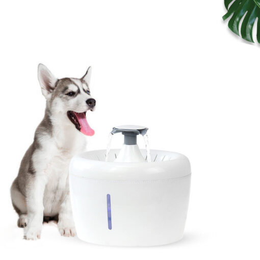 Xiaoyi New Pet Water Dispenser Cats And Dogs Electric Water Dispenser - Image 2