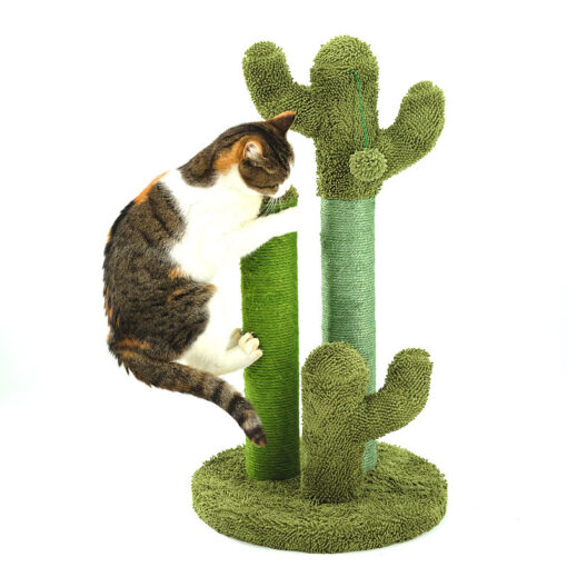 Cats Scratching Kitten Climbing Cactus Tree - Image 4