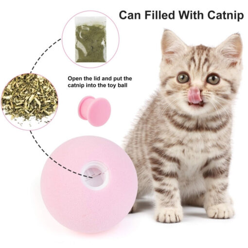 Smart Cat Toys Interactive Ball Catnip Cats Toy Playing Ball - Image 4