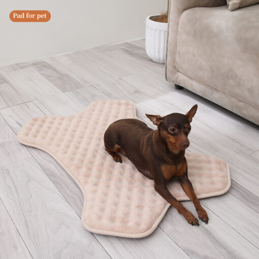 Pet Mat Small And Medium-sized Dogs And Cats Special Anti-slip, Scratch And Dirty Mat