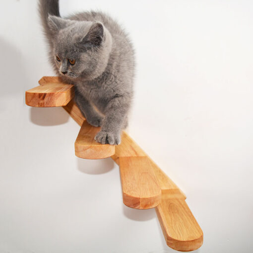 Cats Climbing Ladders On Solid Wood Walls, Rubber Wood Springboards And Stair Toys - Image 4