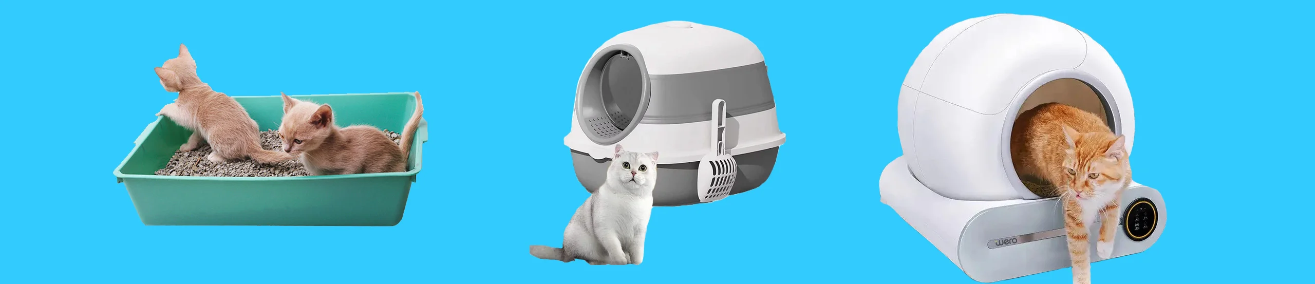 Toilet for cats