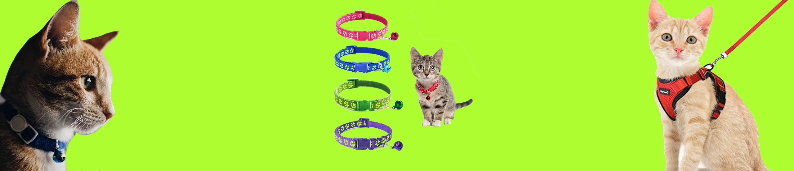 Cat collar